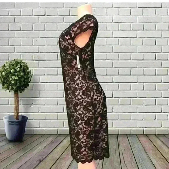 NWT Dressbarn stablished 1962 lace dress size 8 - Picture 4 of 8